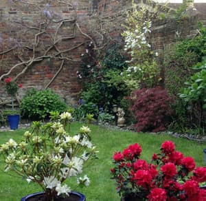 thumbnail: Garden