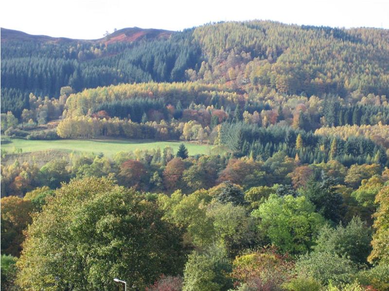 General view