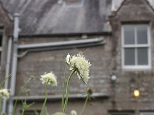 Hawick thumbnail