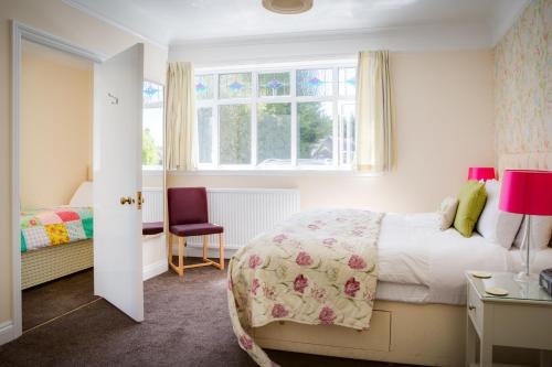 50396373.jpg