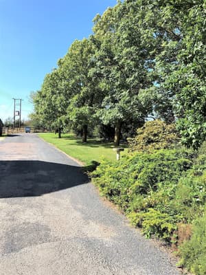 thumbnail: Property grounds