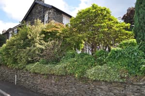 thumbnail: Property grounds