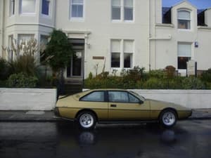 thumbnail: 126099526.jpg