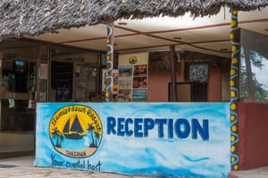 thumbnail: Reception