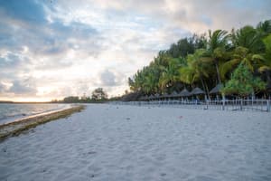 thumbnail: Beach