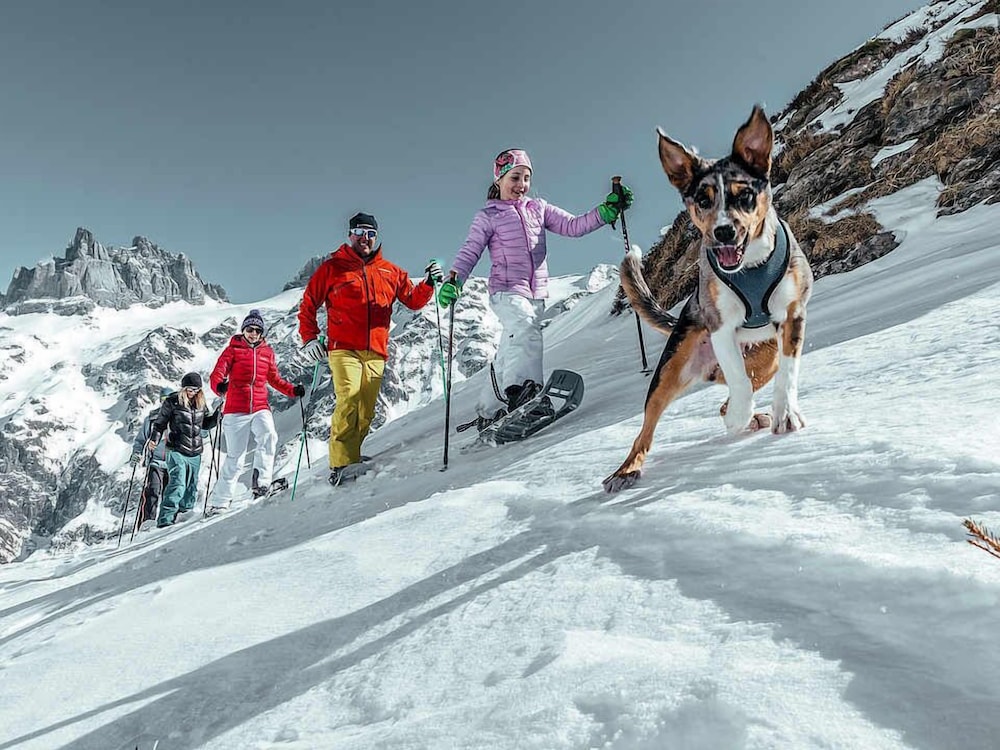 Snowshoeing