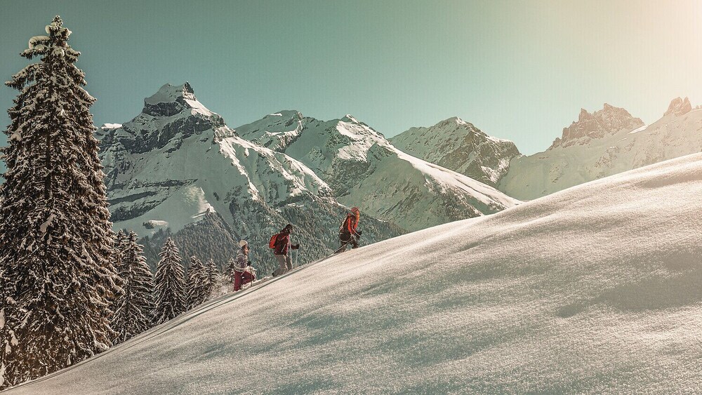 Snow and ski sports