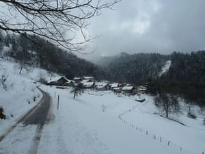 thumbnail: Snow and ski sports
