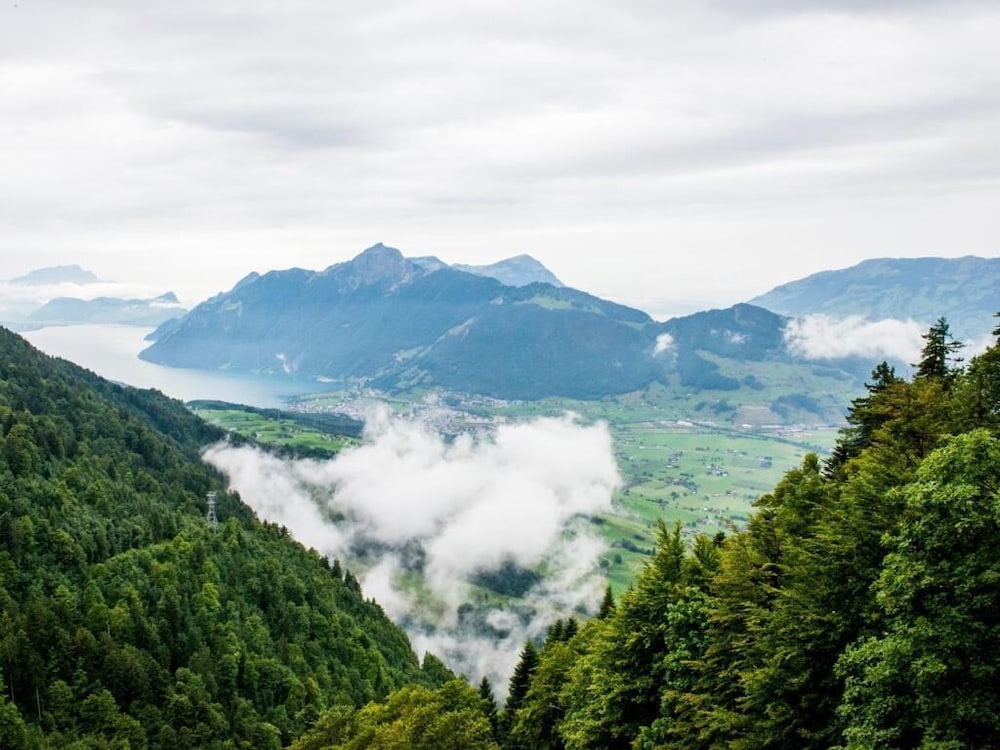 Mountain view
