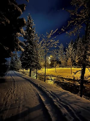 thumbnail: Snowshoeing