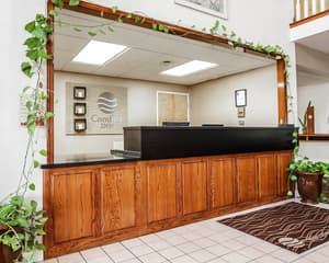 thumbnail: Reception