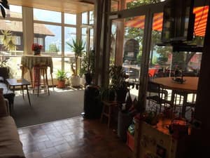 thumbnail: General view