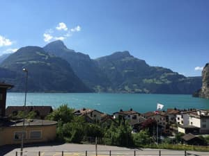 thumbnail: General view