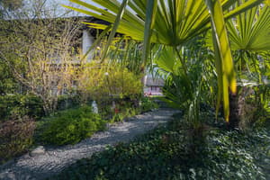 thumbnail: Garden