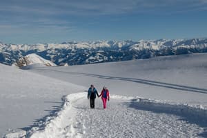 thumbnail: Snowshoeing