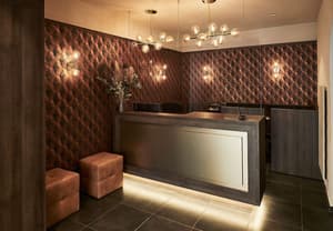 thumbnail: Reception