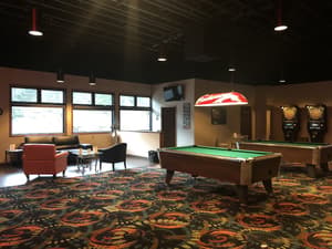 thumbnail: Billiards