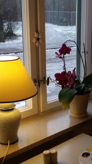 thumbnail: Interior detail