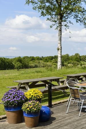 thumbnail: BBQ/picnic area