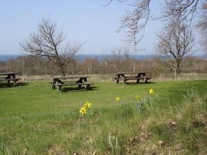 thumbnail: BBQ/picnic area