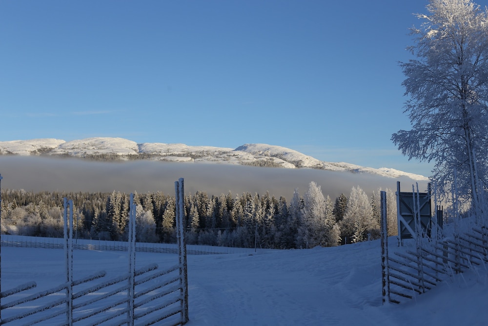 Mountain view