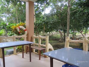thumbnail: Dining