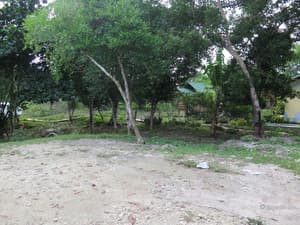 thumbnail: Property grounds
