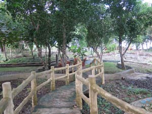 thumbnail: Property grounds