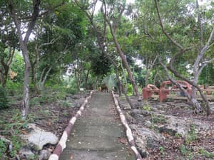 thumbnail: Property grounds