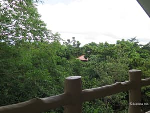 thumbnail: View from property