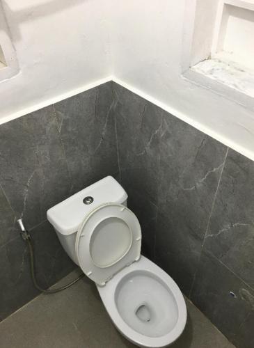495919704.jpg