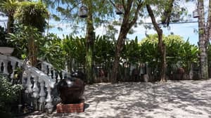 thumbnail: Property grounds