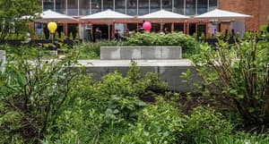 thumbnail: Terrace/patio