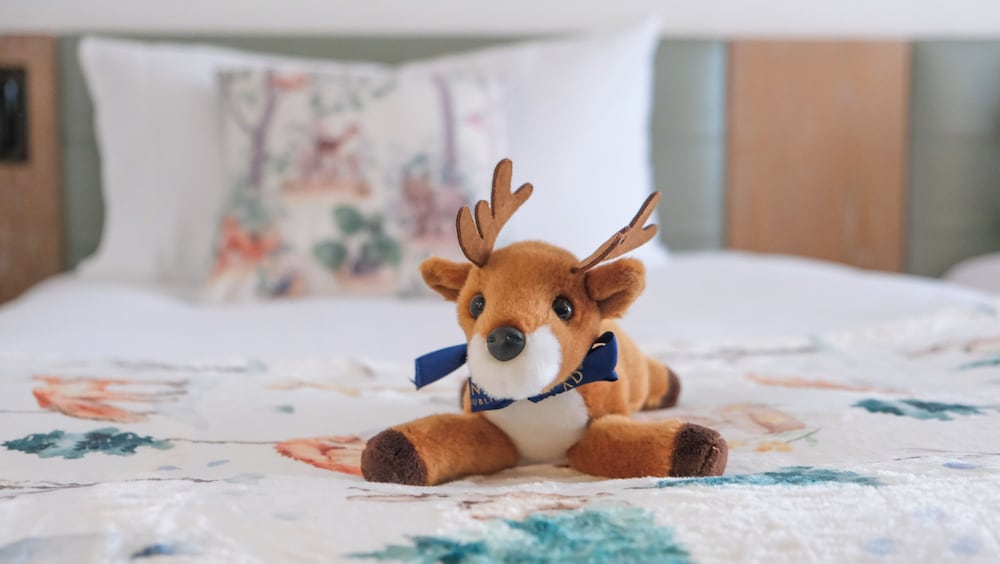 Room amenity