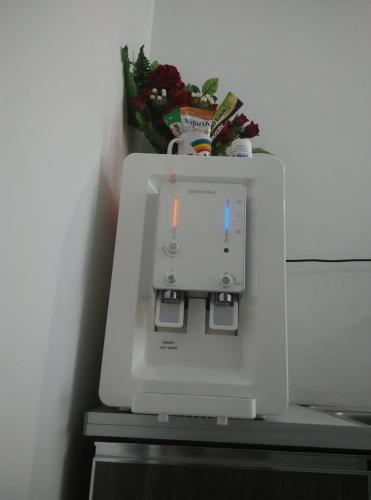 51342924.jpg