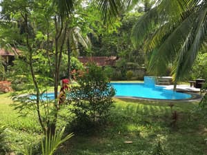 thumbnail: Outdoor pool