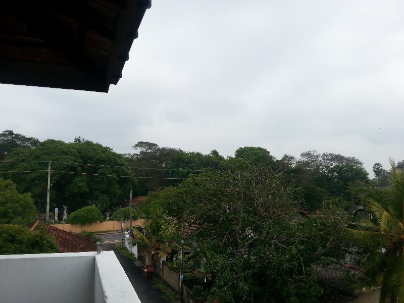 773293_14111218030023312256.jpg?s=800x