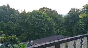 thumbnail: 889810106.jpg