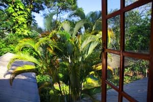 thumbnail: Garden view