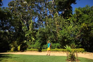 thumbnail: Garden view