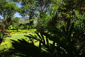 thumbnail: Garden view