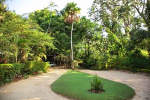 thumbnail: Garden