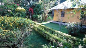 thumbnail: Garden