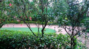 thumbnail: Garden