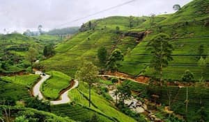 thumbnail: Land view from property