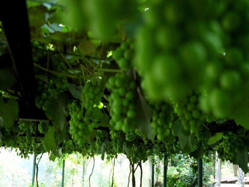 665970_14070315590020141437.jpg?s=800x