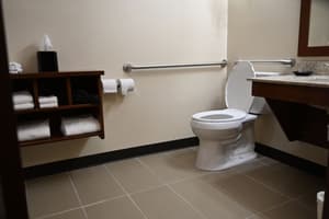 thumbnail: Accessible bathroom