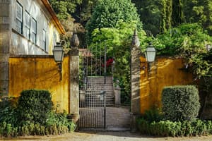 thumbnail: Garden view