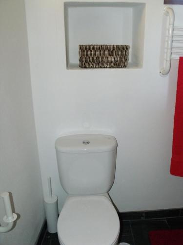 5748952.jpg