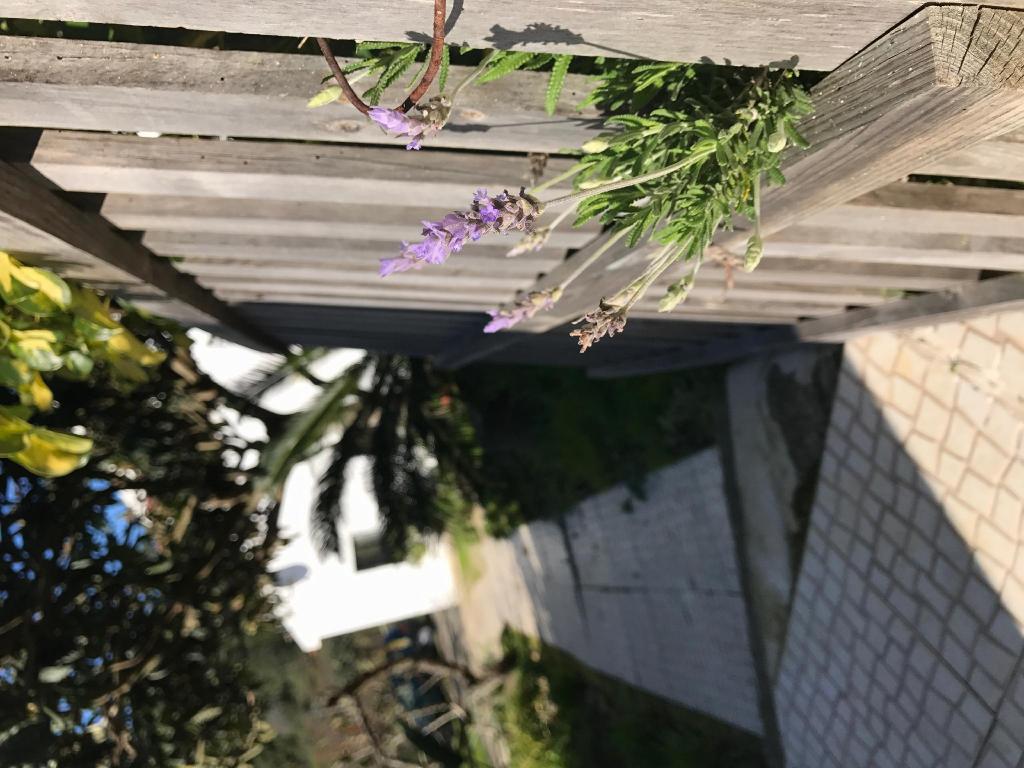 10675630_19111304250083443487.jpg
